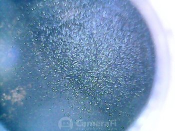 181022_112958.thumb.jpg.c139428c71db64e54cf6a81e332807ab.jpg
