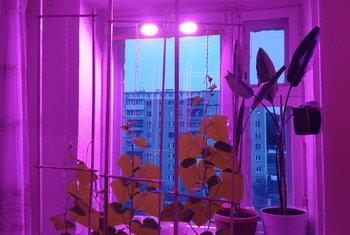 20180416_201401_HDR.jpg