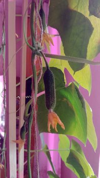 20180502_151627.jpg