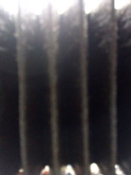 image.thumb.jpeg.9f58901fe09f1011ef6abf67e4145ace.jpeg