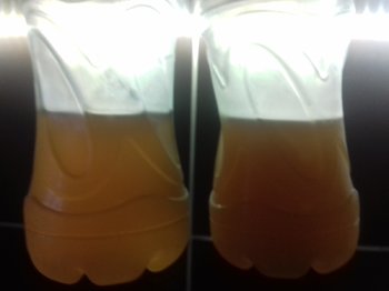 20181218_145107.jpg