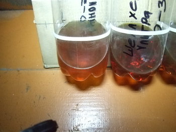 DSCF6671.JPG