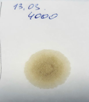 20190314_164951.jpg