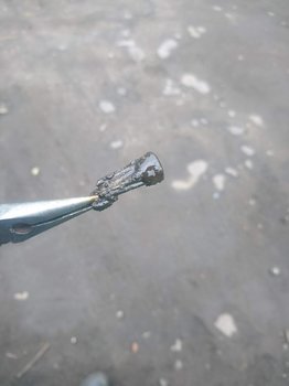 DSC_1155.JPG
