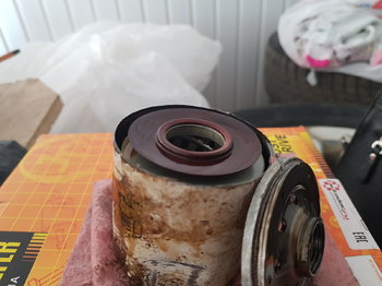 20190413_150534.thumb.jpg.3d84c8900cafa3ea059588f163032726.jpg