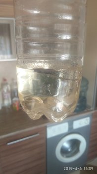 IMG_20190406_150922.jpg