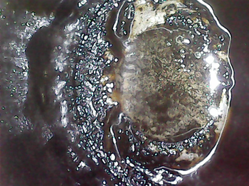 20190521_1158045.png