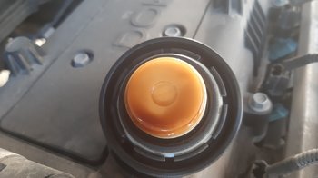 20190601_194213.jpg