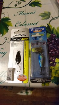 DSC_1060.JPG