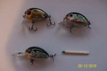 100_1308.jpg