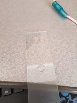 20190713_101918.jpg