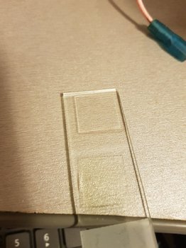 20190717_204953.jpg