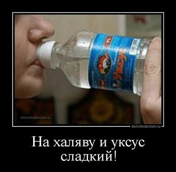 На халяву и уксус сладкий!.jpg