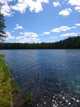DSC_1204.JPG