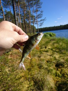 DSC_1208.JPG