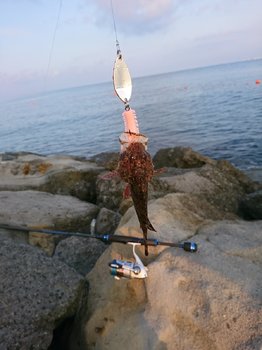 DSC_1360.JPG