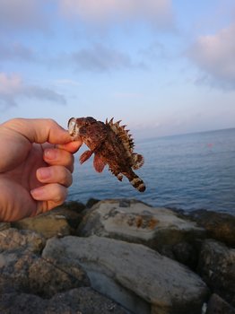 DSC_1362.JPG