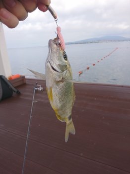 DSC_1363.JPG