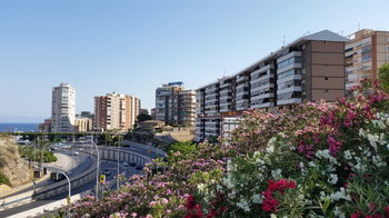 20190703_183859.jpg