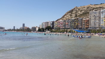 20190711_144554.jpg