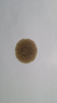 20190821_070614.jpg