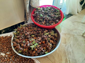 20190823_140209.jpg
