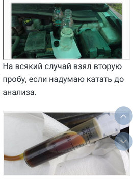 458B0D08-E77C-4E83-8E2D-E7DF55AC1BF4.thumb.jpeg.4ae152e45f8cd1d643f3a149967b7f3e.jpeg