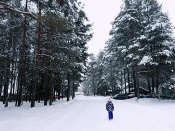 6VNDHaLkSco.jpg