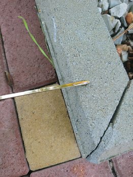 DSC_1347.JPG