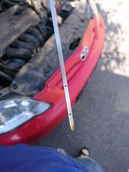 DSC_1905.JPG