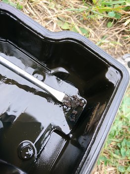 DSC_1925.JPG
