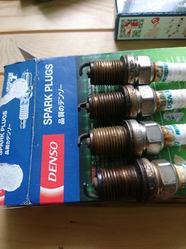 DSC_1983.JPG