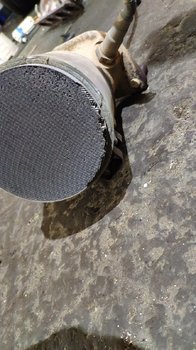 IMG_20190802_105559.jpg