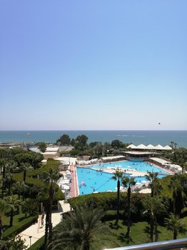 IMG_20190813_125551.jpg