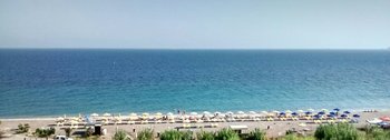 IMG_20190826_094219.jpg