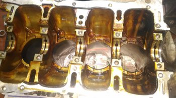 IMG-20181105-WA0016.jpg
