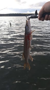 IMG-20190928-WA0011.jpeg