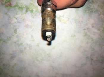 IMG_0310.jpeg