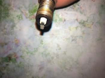 IMG_0311.jpeg