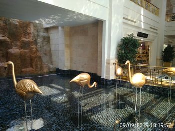IMG_20190909_181957.jpg