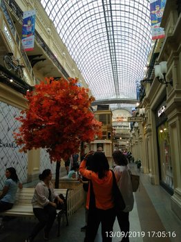 IMG_20190913_170516.thumb.jpg.4ab769cf20c46b0afb0cb4cc30bb0085.jpg