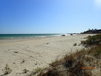 P9160343.JPG