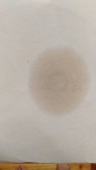 P91022-180315.jpg
