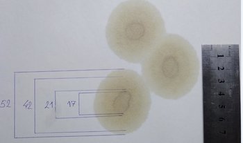 Вторая капля масла ЕС5.jpg
