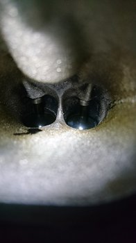 DSC_2063.JPG