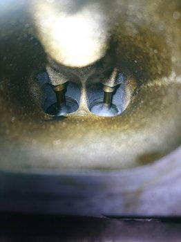 DSC_2413.JPG