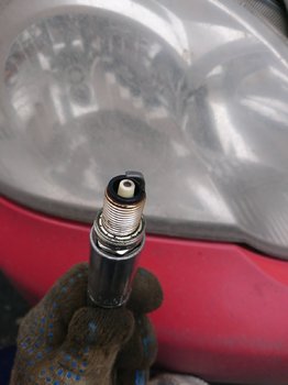 DSC_2417.JPG