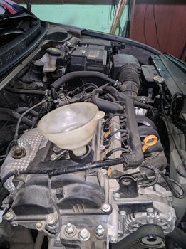 IMG_20191130_150900.jpg