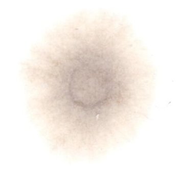 1147214832_001.thumb.jpg.feaca75bfed203e1dd68127247aaafec.jpg