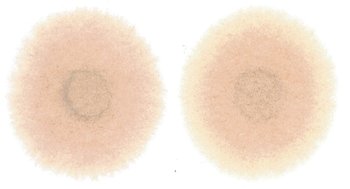 1549447151_2.thumb.jpg.26fa2ed6e3b776caf425cf691e9f2d5b.jpg